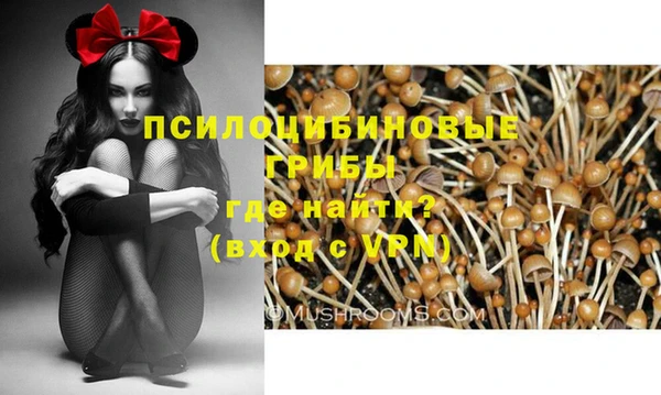 mdpv Алексеевка