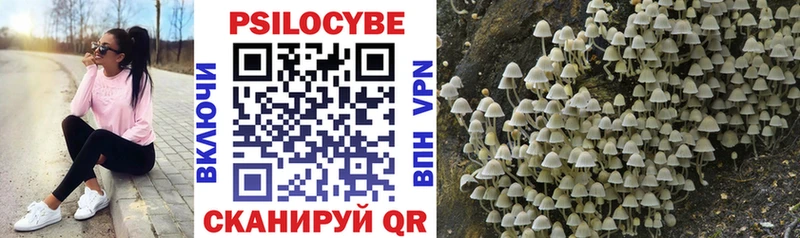 Галлюциногенные грибы Magic Shrooms  Сенгилей 