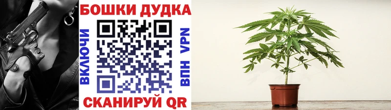 как найти закладки  Сенгилей  Шишки марихуана THC 21% 
